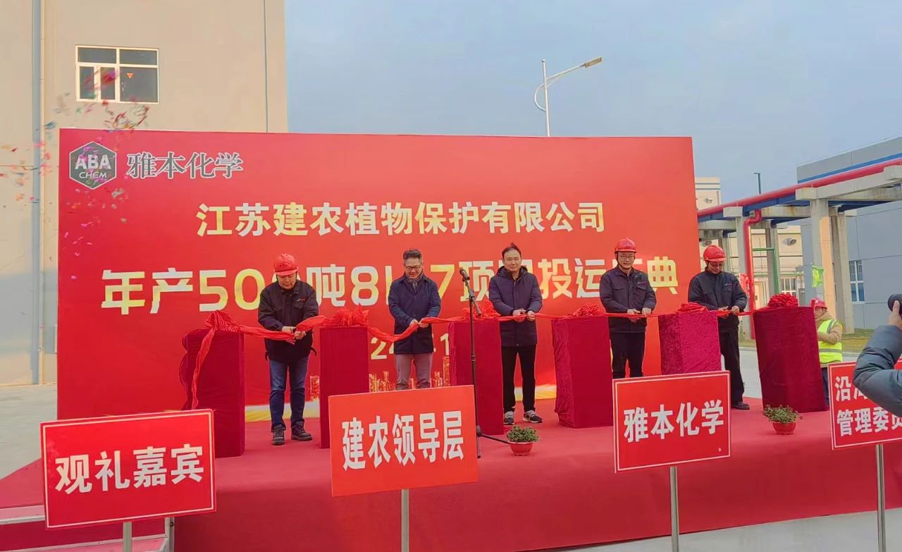 south area of binhai site has been completed, the celebration ceremony has been successfully held